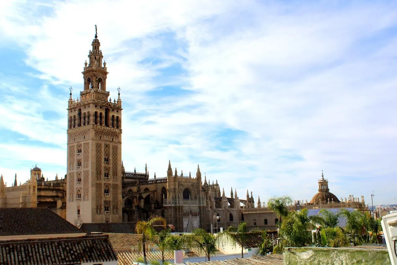 Olehousing - Cathedral Terrace Apartments Seville